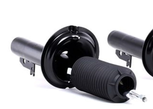 Front Shock 2000-2006 (4540425)